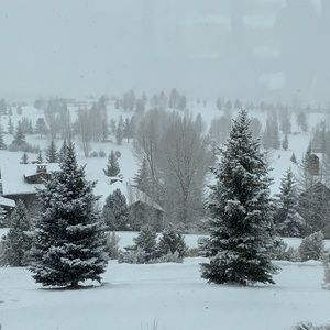 Meet your Posher, Paul